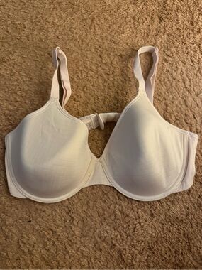 Warners Bra 38C